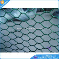 lobster trap / crab / fish trap pvc coated hot dipped galvanized hexagonal wire mesh